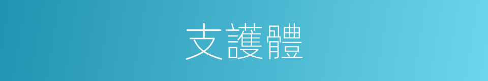 支護體的同義詞