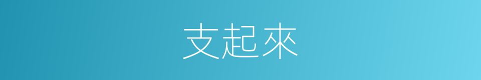 支起來的同義詞