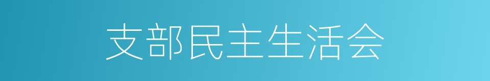 支部民主生活会的同义词