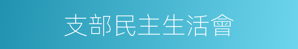 支部民主生活會的同義詞