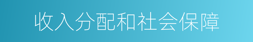 收入分配和社会保障的同义词