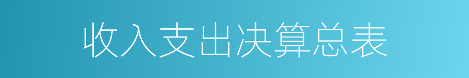 收入支出决算总表的同义词