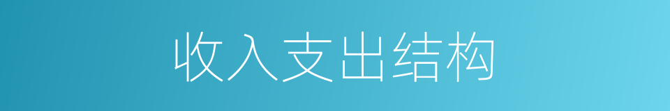 收入支出结构的同义词