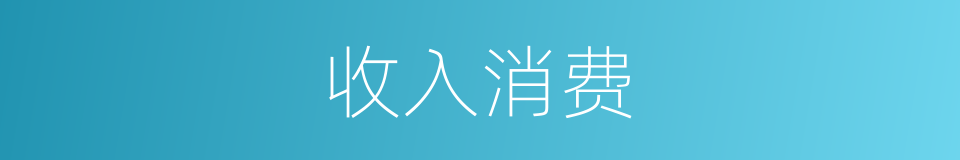 收入消费的同义词