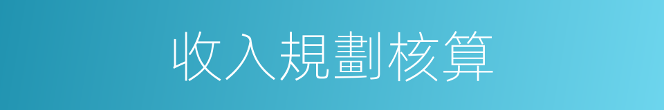 收入規劃核算的同義詞