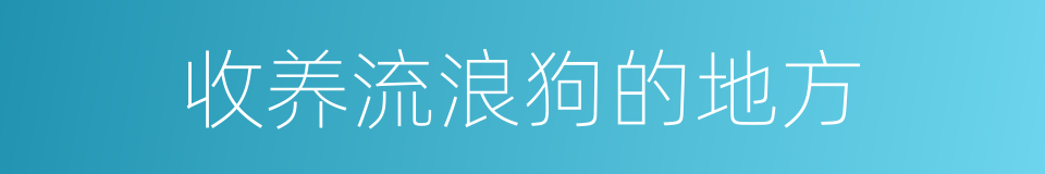 收养流浪狗的地方的同义词