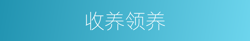收养领养的同义词