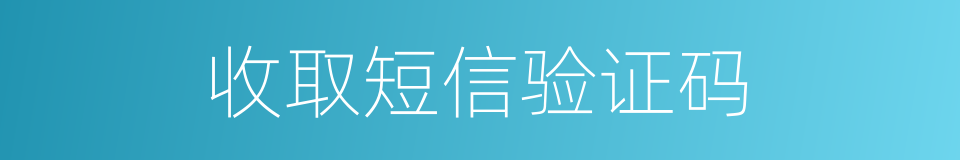 收取短信验证码的同义词