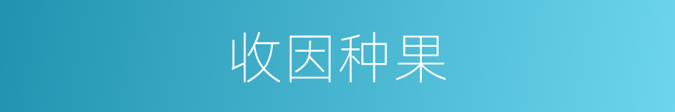 收因种果的意思