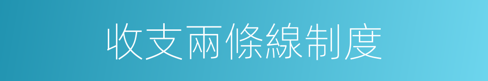 收支兩條線制度的同義詞