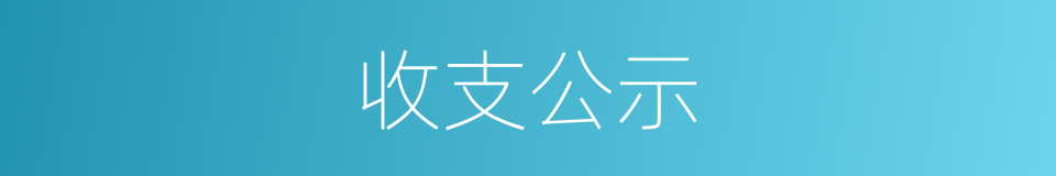 收支公示的同义词