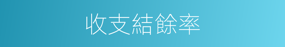 收支結餘率的同義詞