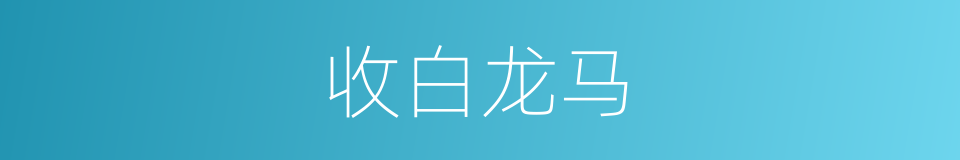 收白龙马的同义词