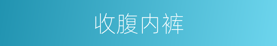 收腹内裤的同义词