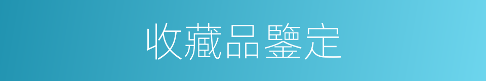 收藏品鑒定的同義詞