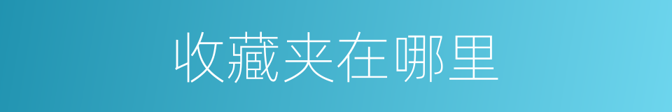 收藏夹在哪里的同义词