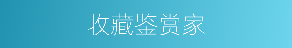 收藏鉴赏家的同义词