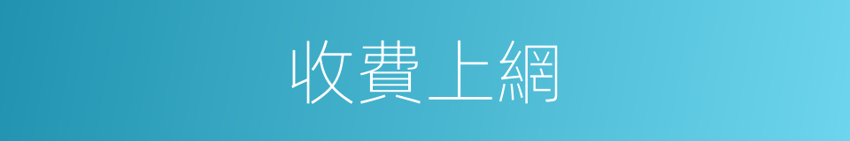 收費上網的同義詞