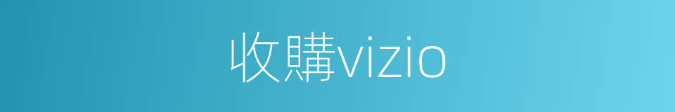 收購vizio的同義詞