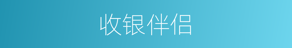 收银伴侣的同义词