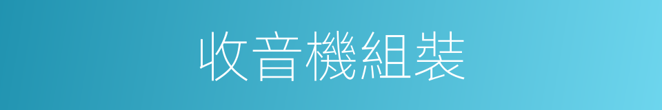 收音機組裝的同義詞