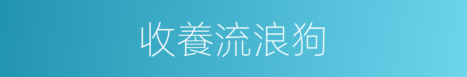 收養流浪狗的意思