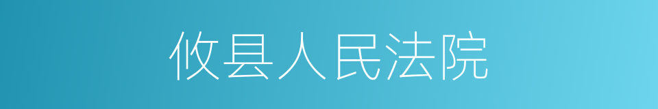 攸县人民法院的同义词