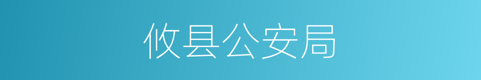 攸县公安局的同义词