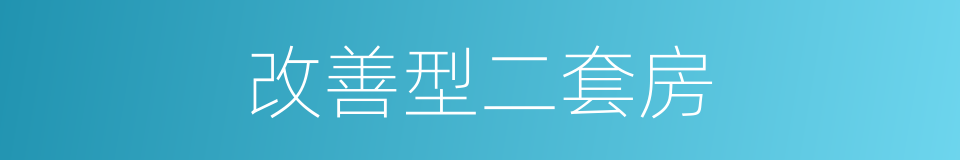 改善型二套房的同义词