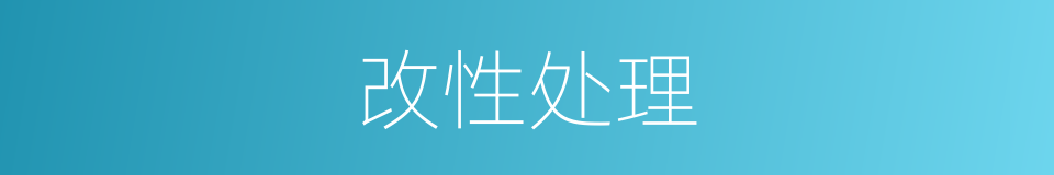 改性处理的同义词