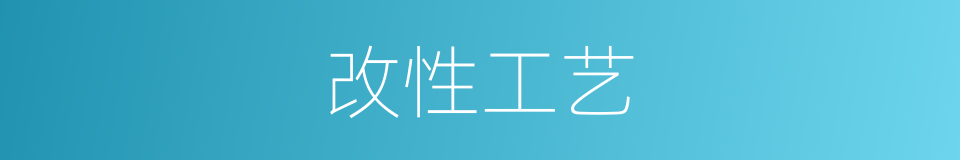 改性工艺的同义词