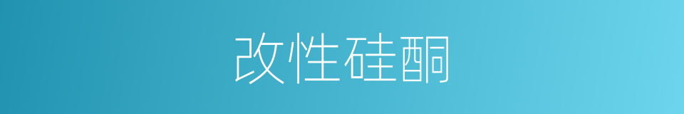 改性硅酮的同义词