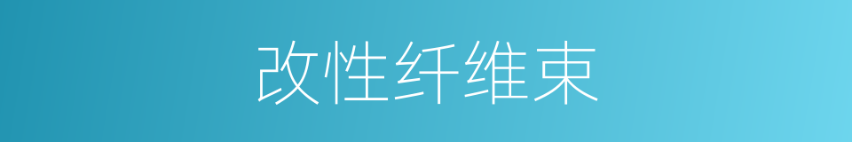 改性纤维束的同义词