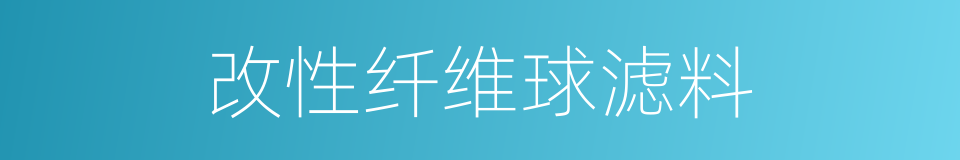 改性纤维球滤料的同义词