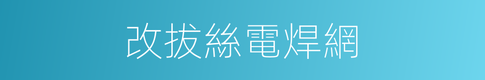 改拔絲電焊網的同義詞