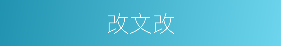改文改的同义词