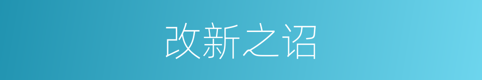 改新之诏的同义词