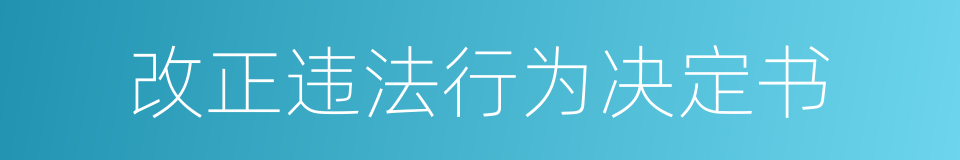 改正违法行为决定书的同义词