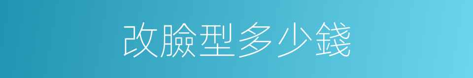 改臉型多少錢的同義詞