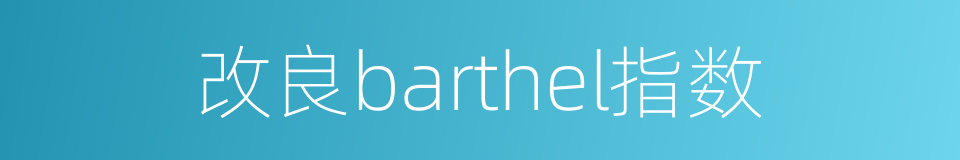 改良barthel指数的同义词