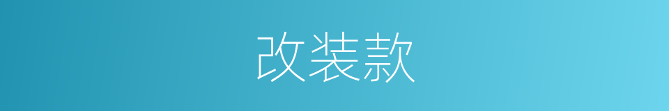 改装款的同义词