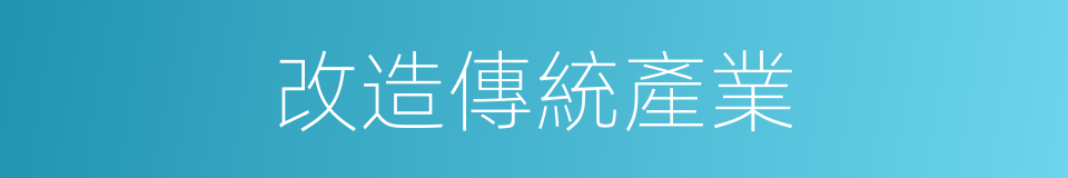 改造傳統產業的同義詞