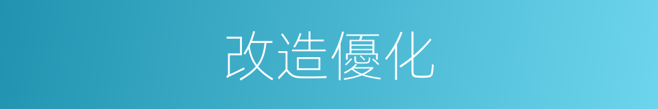改造優化的同義詞
