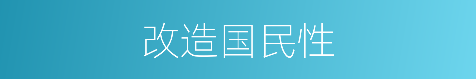 改造国民性的同义词