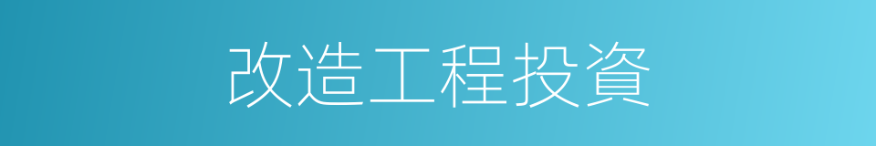 改造工程投資的同義詞