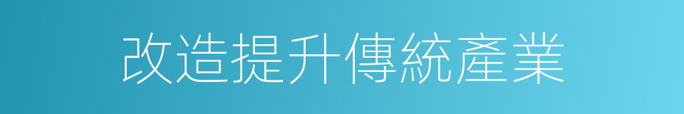 改造提升傳統產業的同義詞