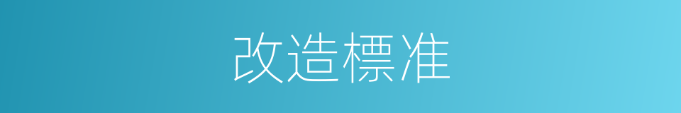 改造標准的同義詞