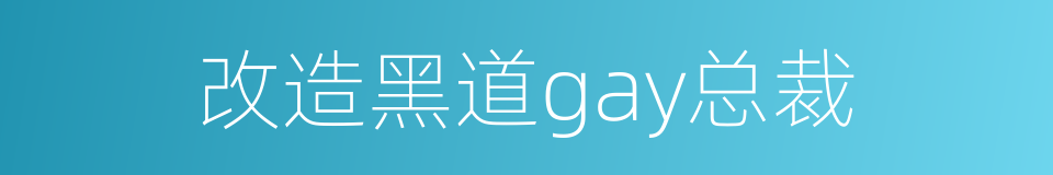 改造黑道gay总裁的同义词
