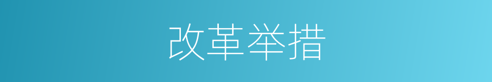 改革举措的同义词