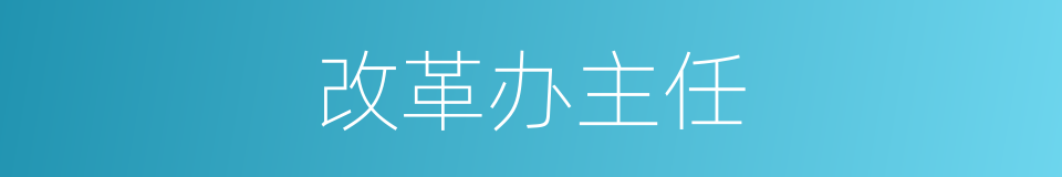 改革办主任的同义词